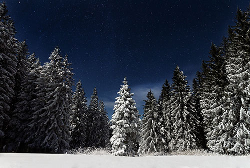 Snowy Backcountry Hike